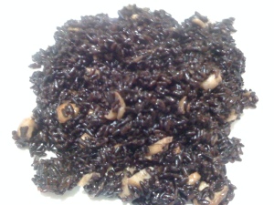 Primi Piatti : riso nero venere con funghi e tartufo